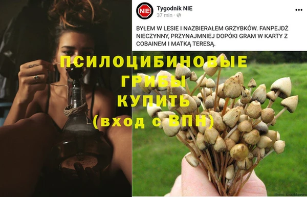 винт Осинники